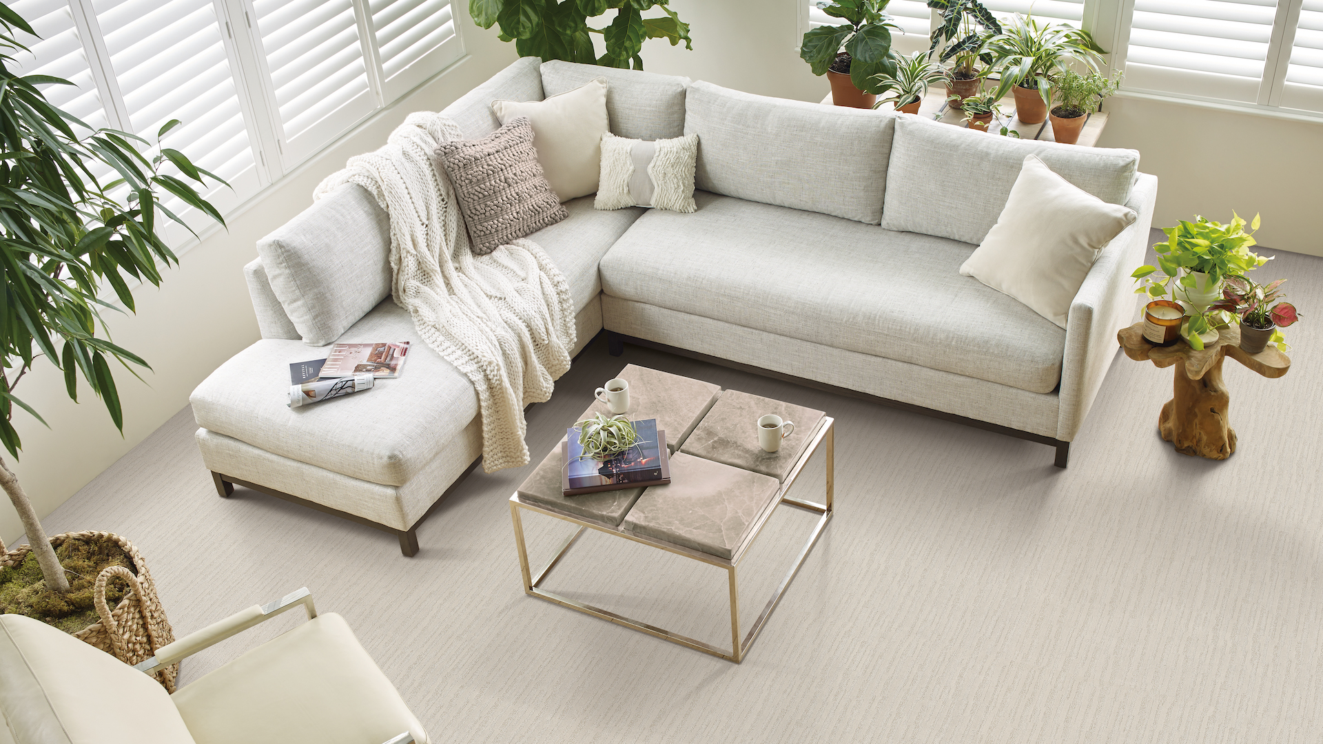soft neutral carpets in a bright living room
